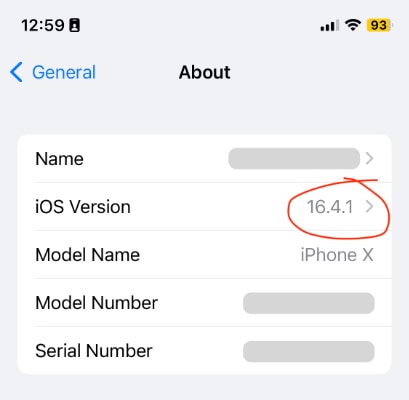 Screenshot of a panel in the iPhone Settings app with the iOS version number installed on the device highlighted in a red circle.